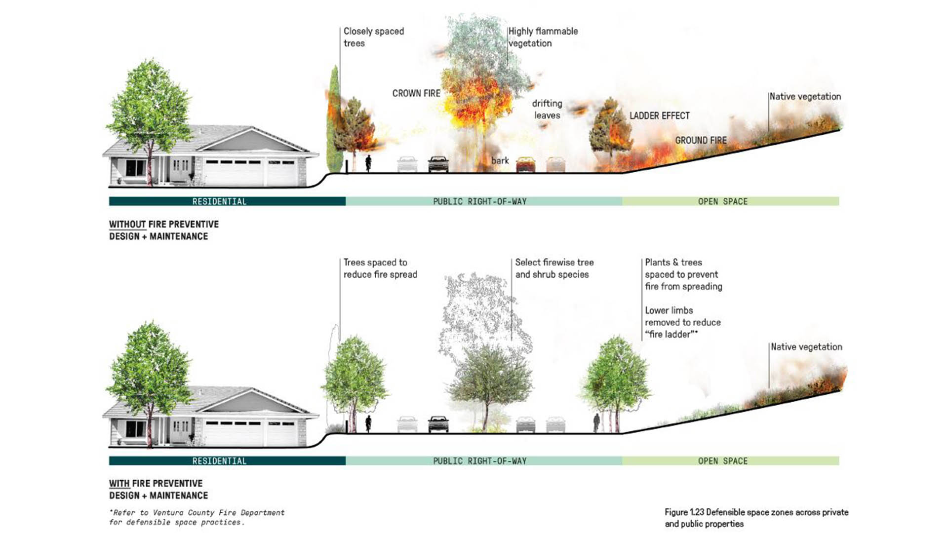 fire landscapes
