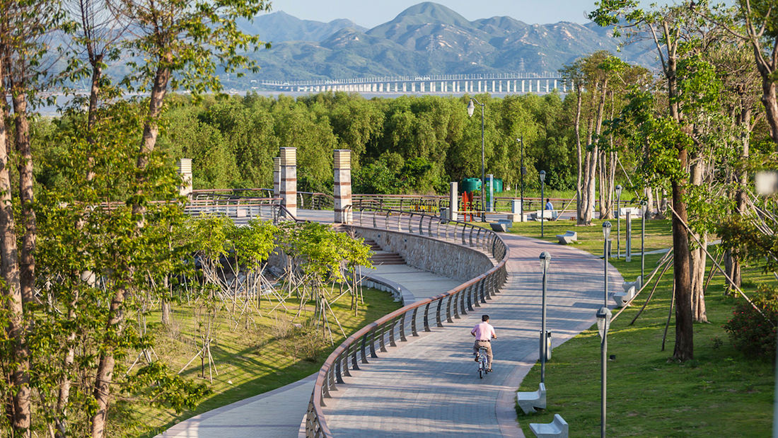 shenzhen bay