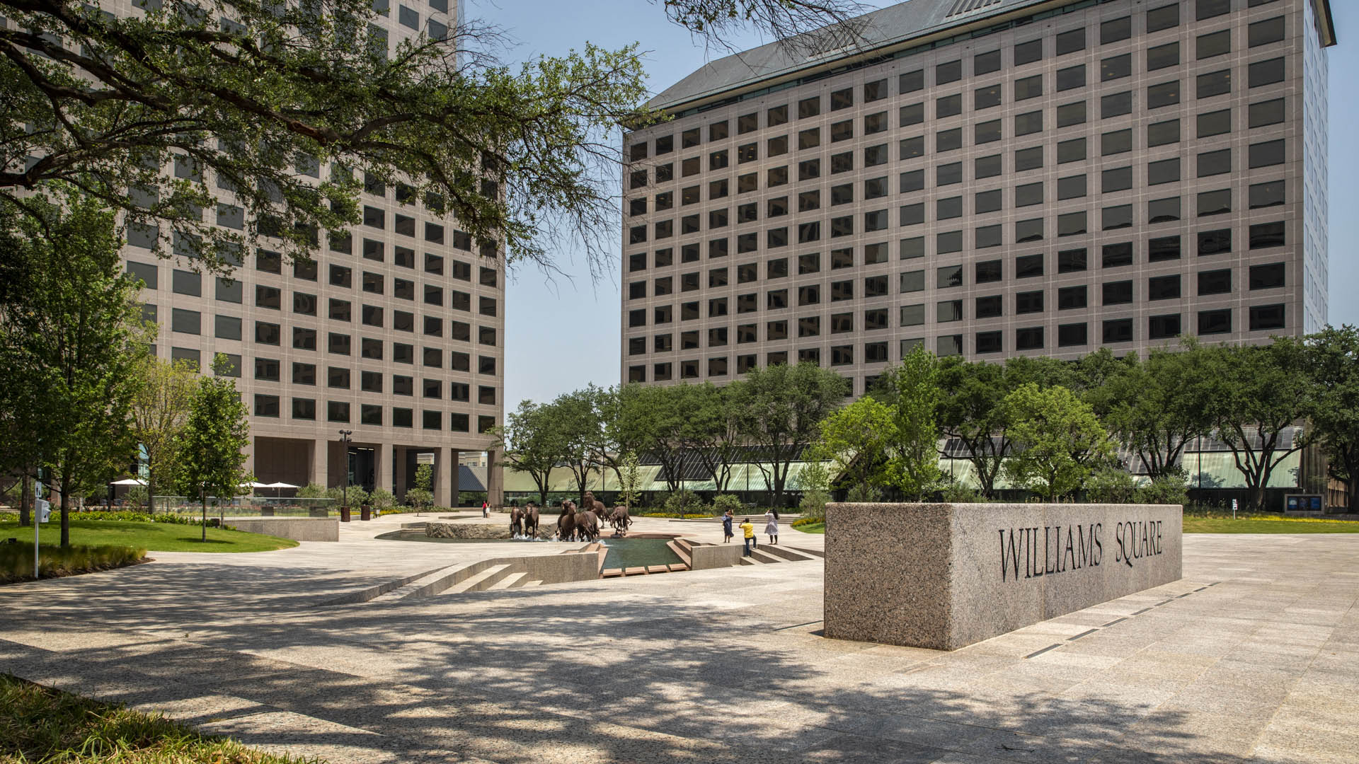 Williams Square-David Lloyd-1312