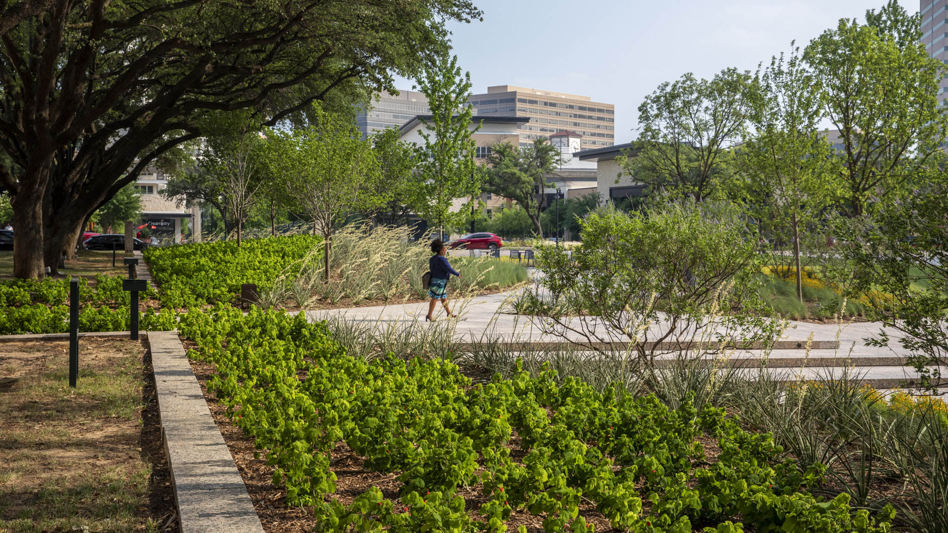 Williams Square-David Lloyd-1372