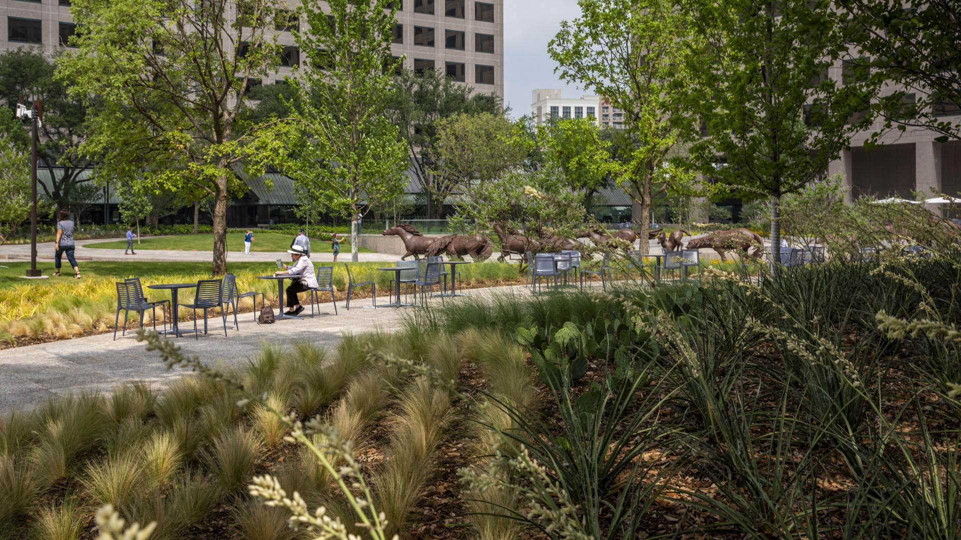 Williams Square-David Lloyd-1000
