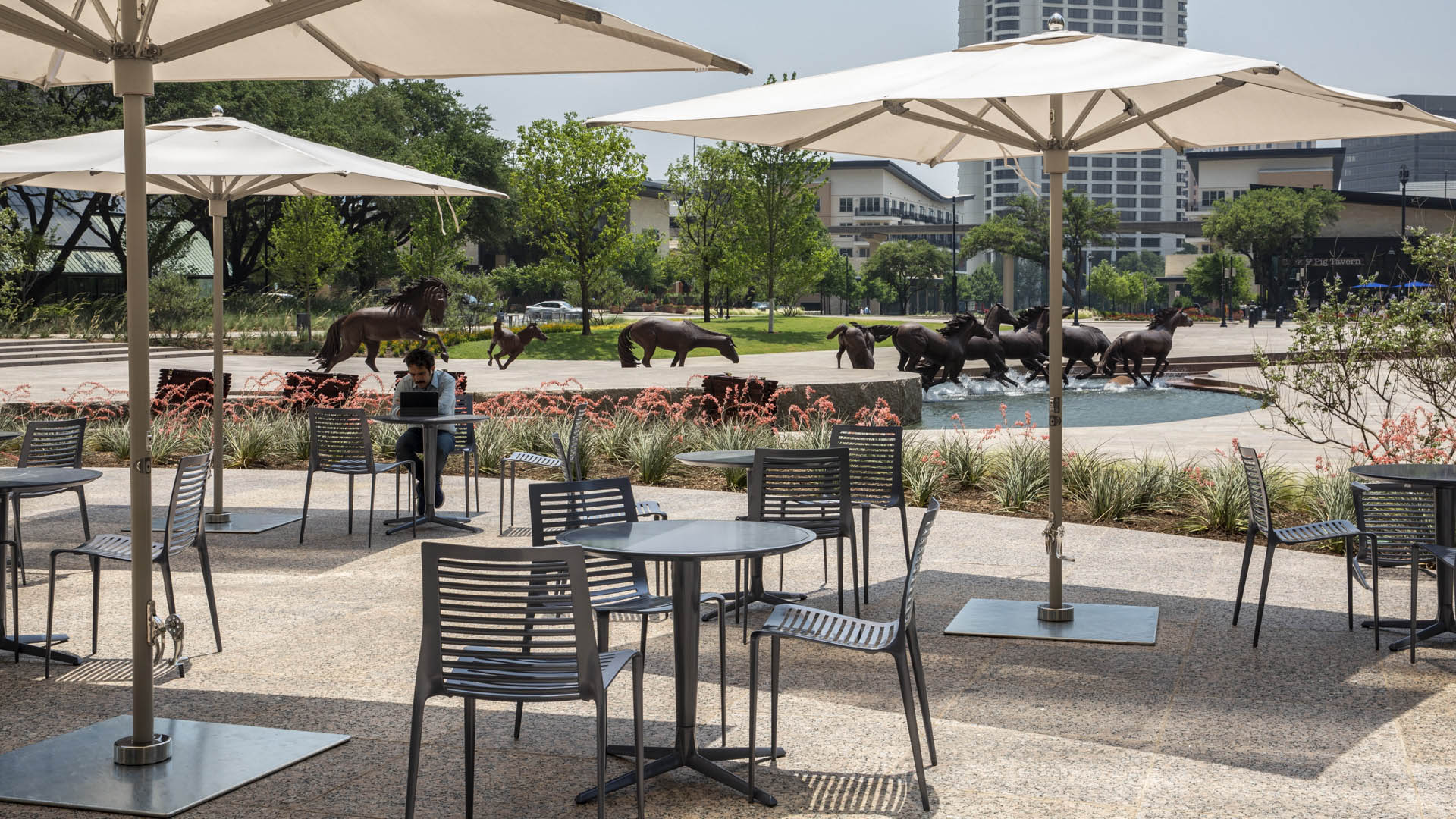 Williams Square-David Lloyd-1113