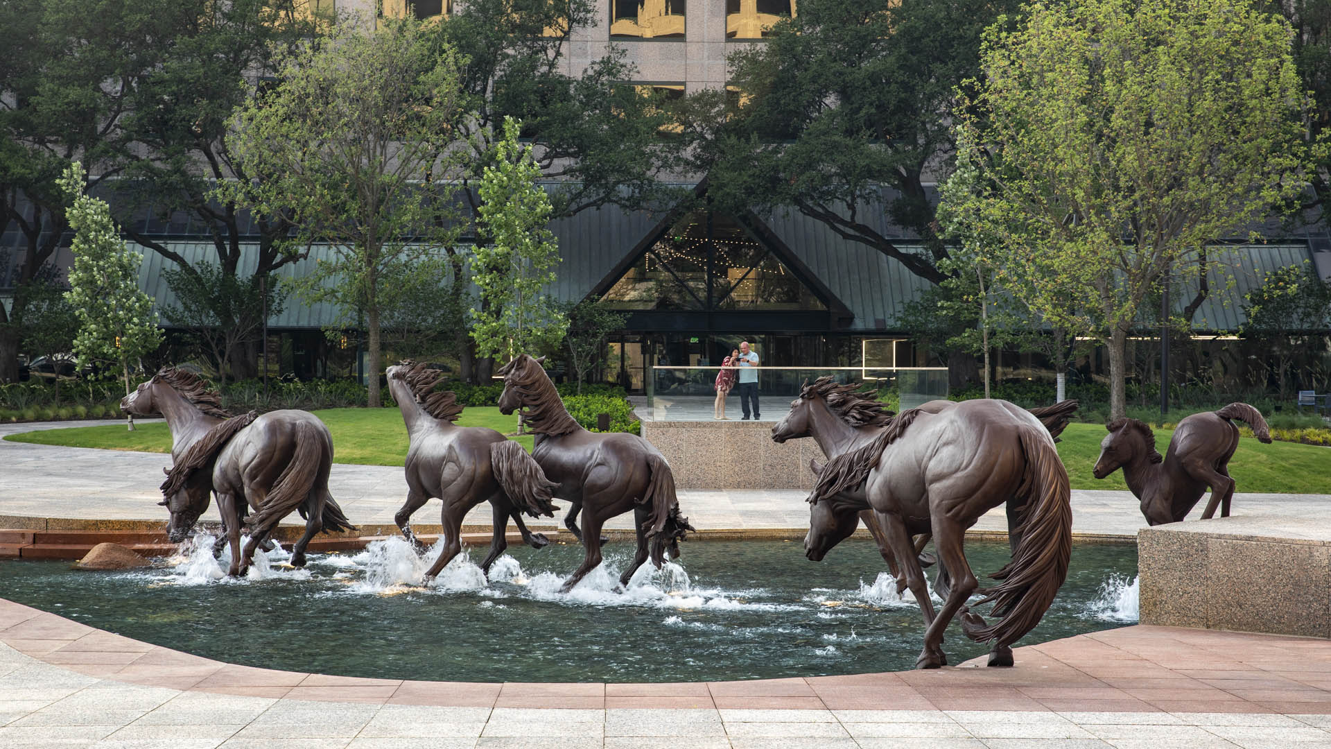 Williams Square-David Lloyd-1398