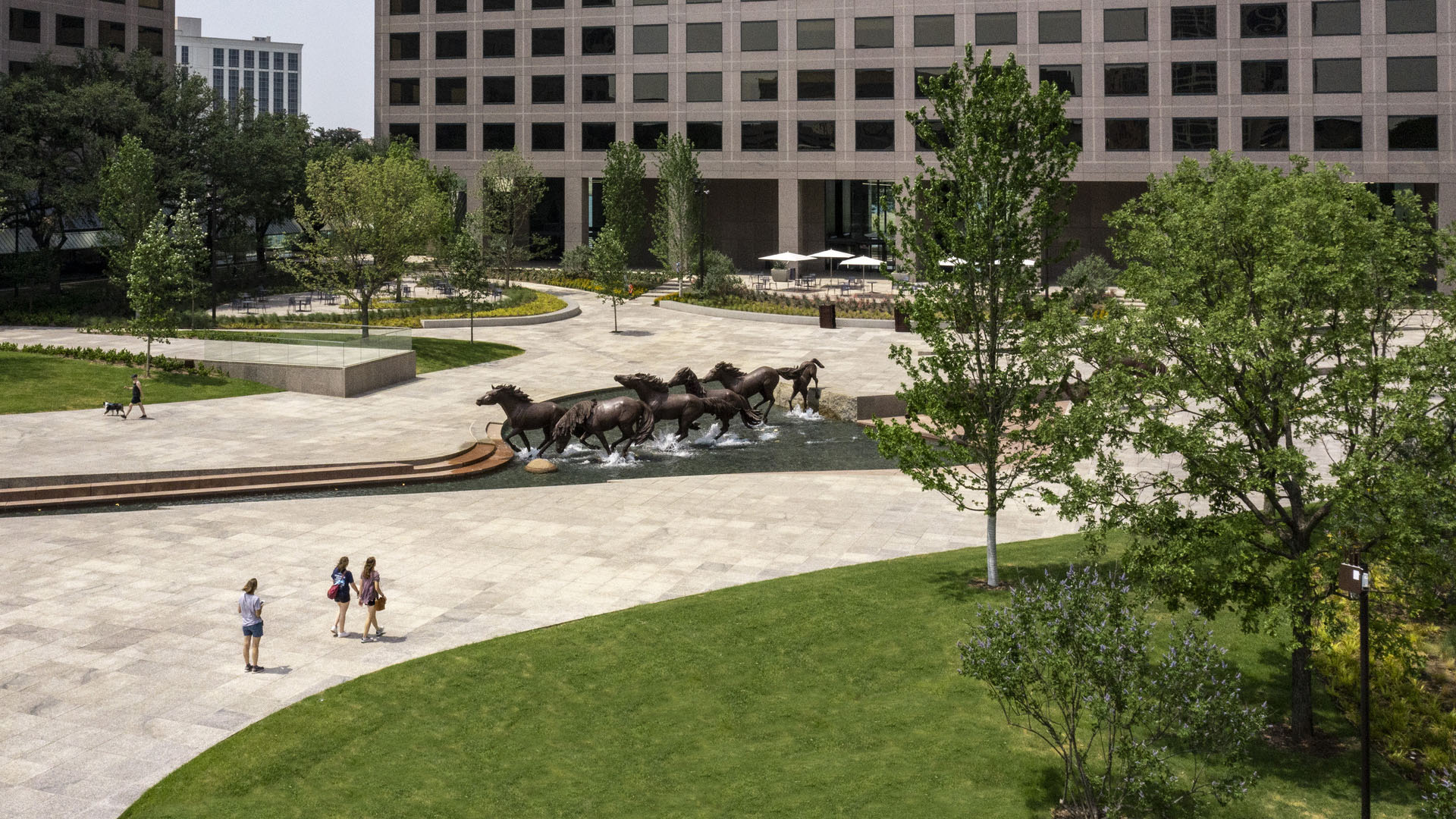 Williams Square-David Lloyd-0873_presentation