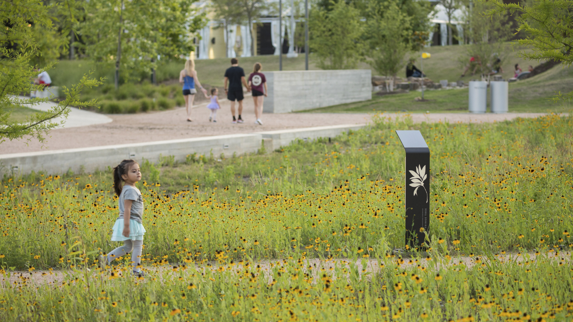 Evelyn's Park - Jonnu Singleton-3769.jpg