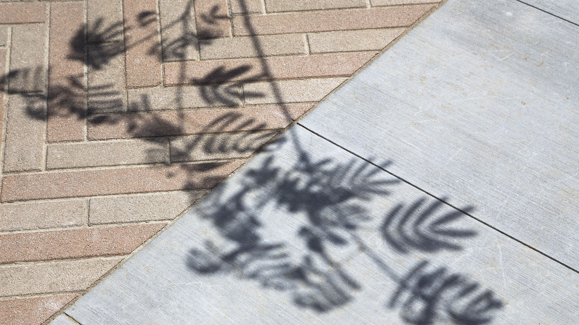 CSU Long Beach - Liberal Arts Courtyards - Jonnu Singleton-5939.jpg