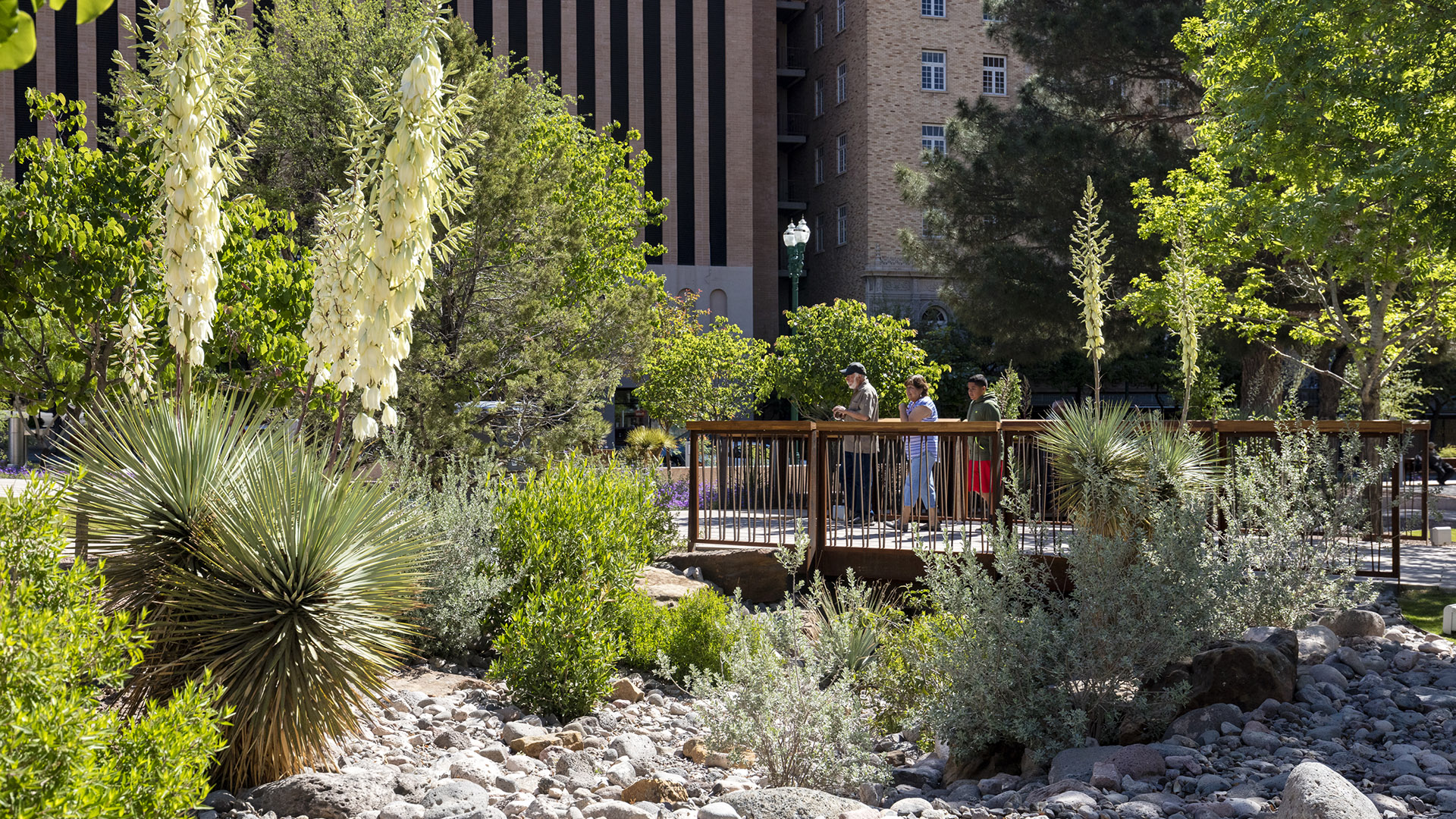 San-Jacinto-Plaza-Jonnu-Singleton-4443.jpg