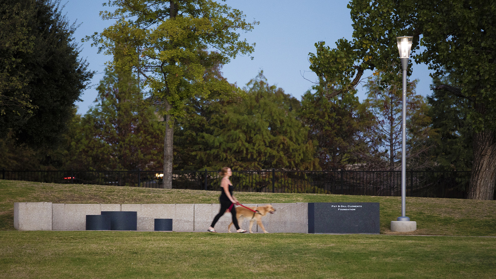 Griggs Park - Jonnu Singleton-6176.jpg