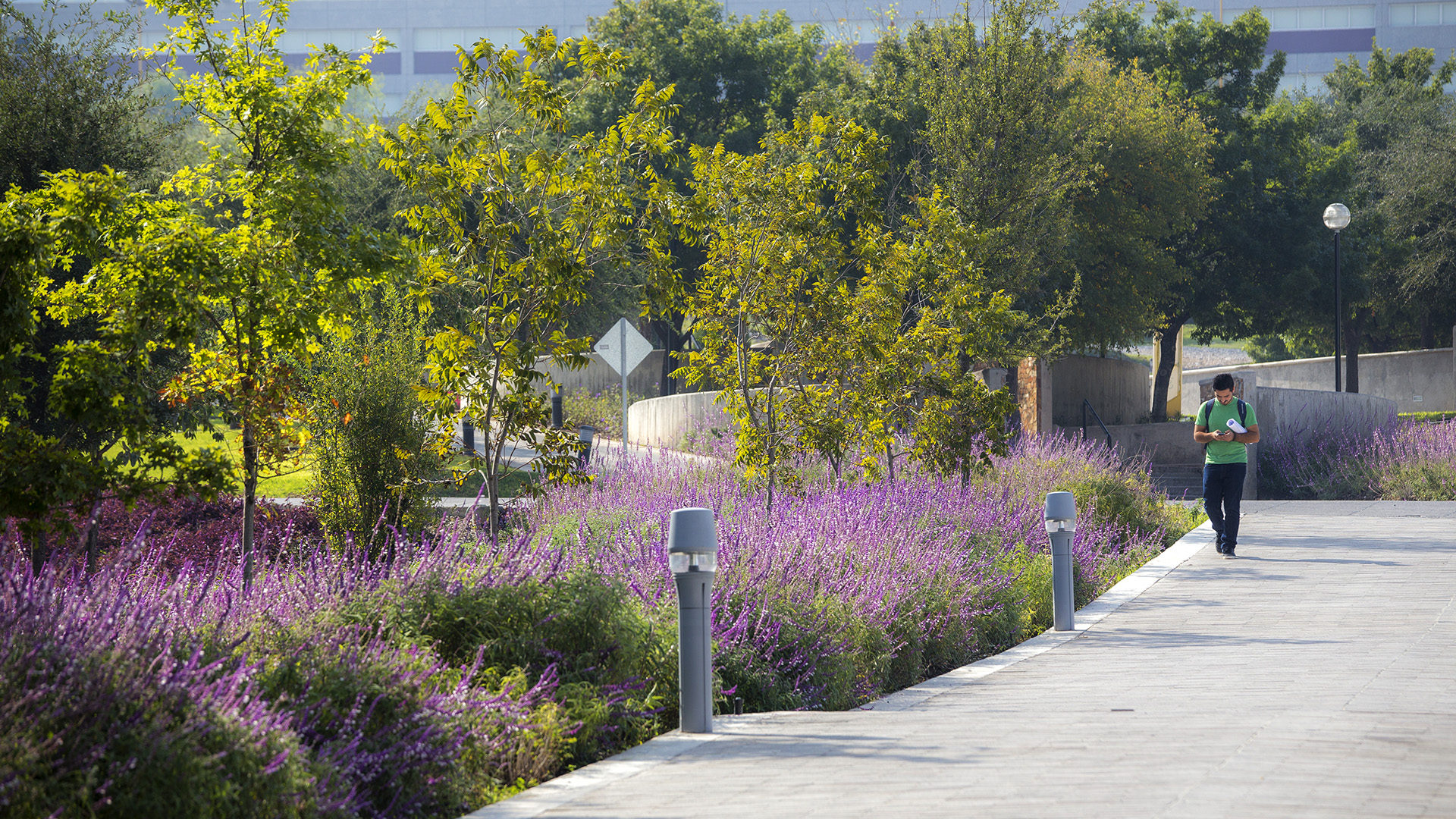 UDEM - University of Monterrey - Jonnu Singleton-0950.jpg