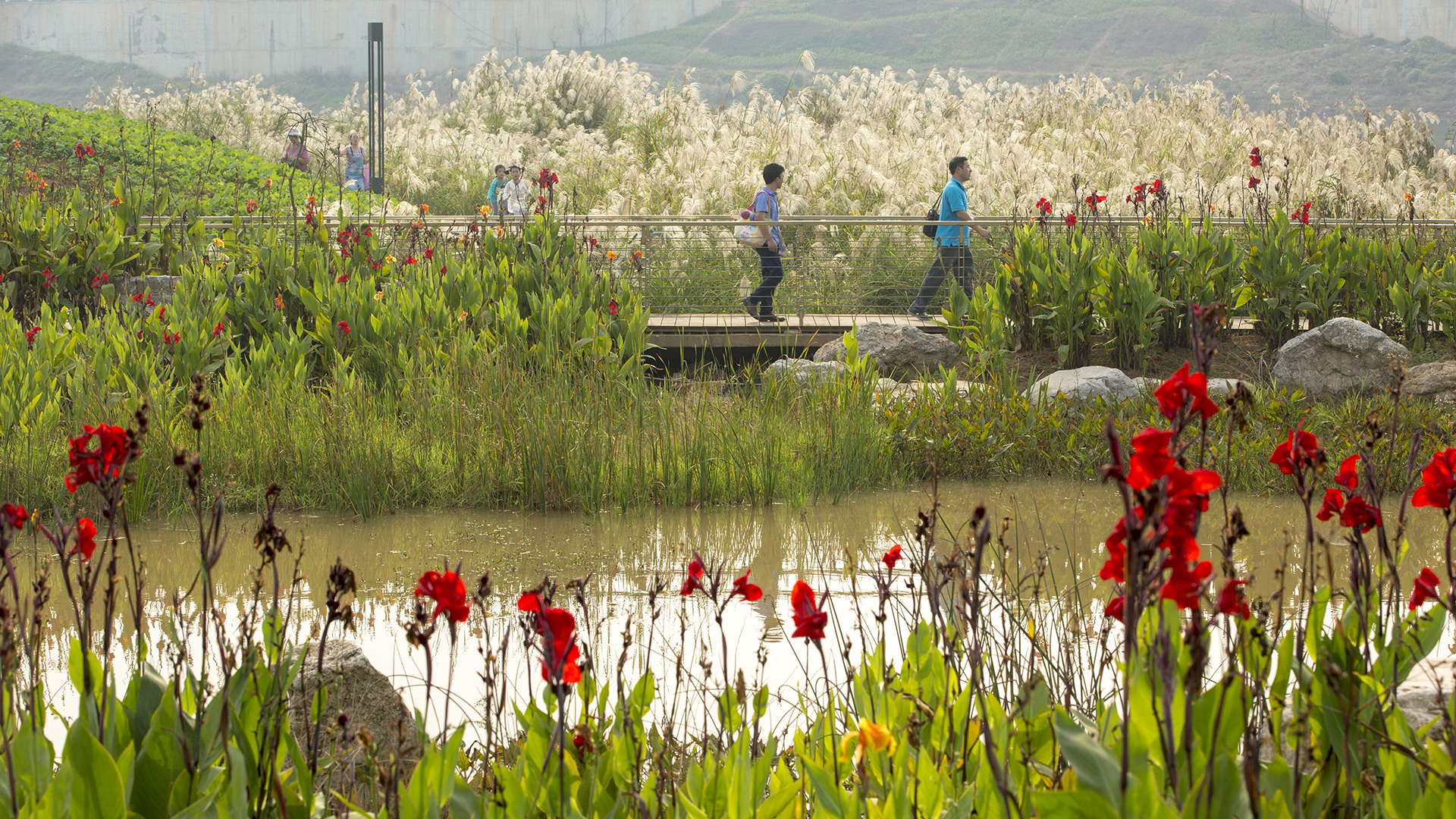 Changsha Baxizhou Island - David Lloyd-85.jpg