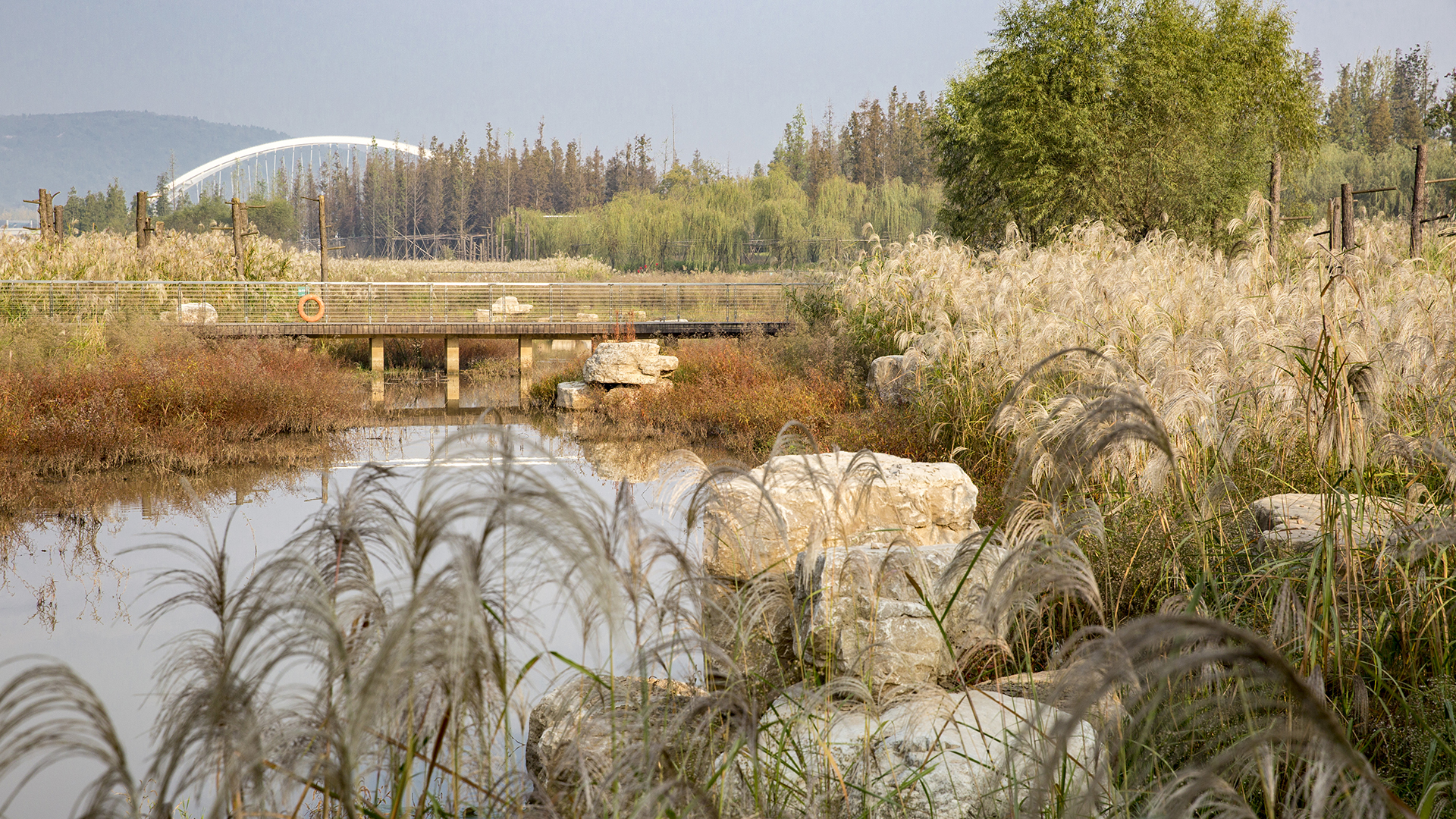 Changsha Baxizhou Island - David Lloyd-1.jpg