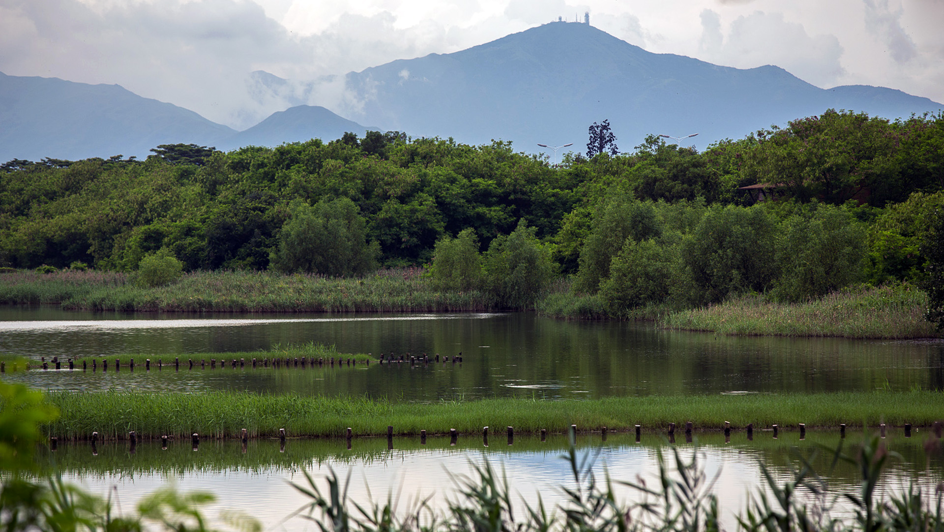OCT-Wetland-Jonnu-Singleton-3537.jpg
