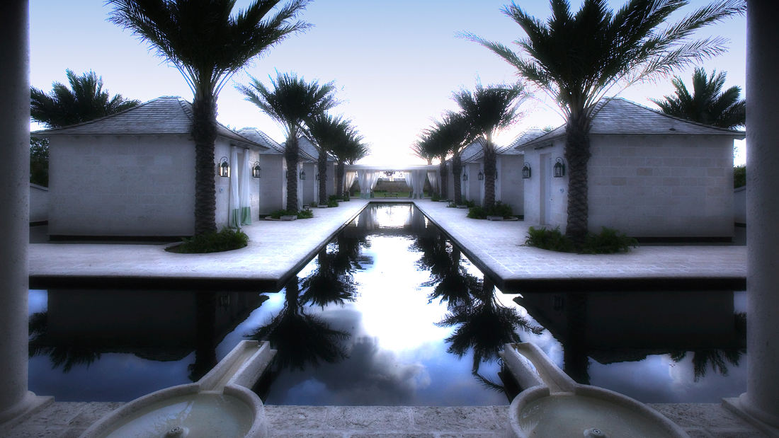 f6dd80a0_thepalms8399_1100x1100.jpg