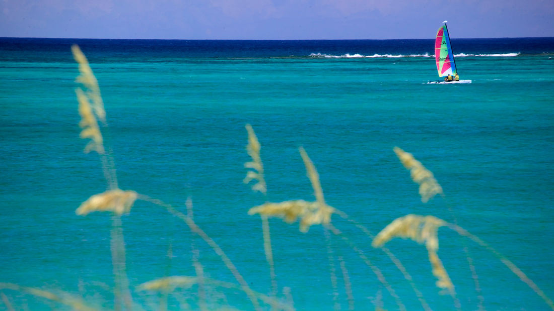 674cb18f_thepalms8254_1100x1100.jpg