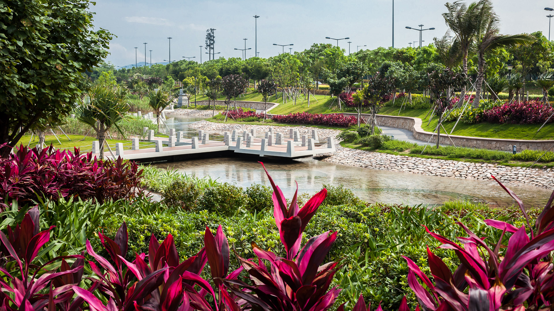 Shenzhen Bay - Jonnu Singleton-6089.jpg