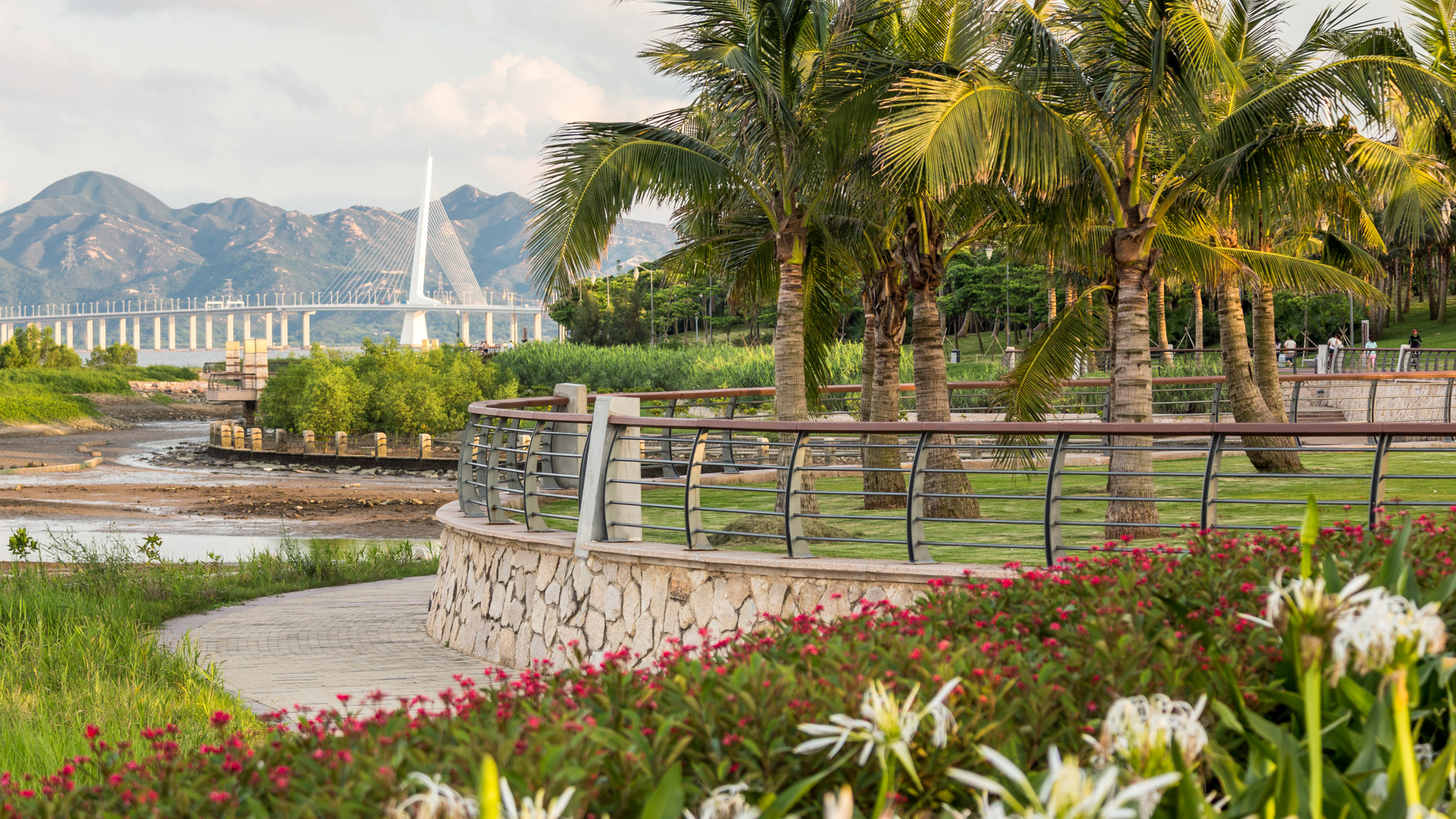 Shenzhen Bay  - Jonnu Singleton-6867.jpg