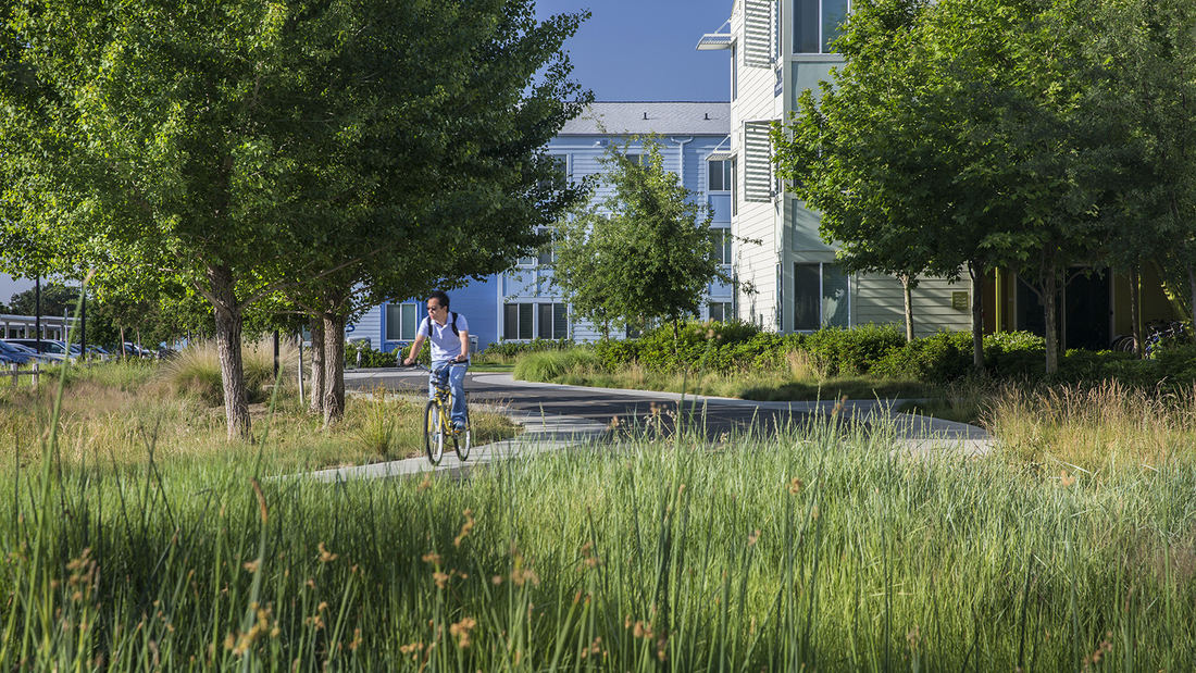 UC Davis West Village