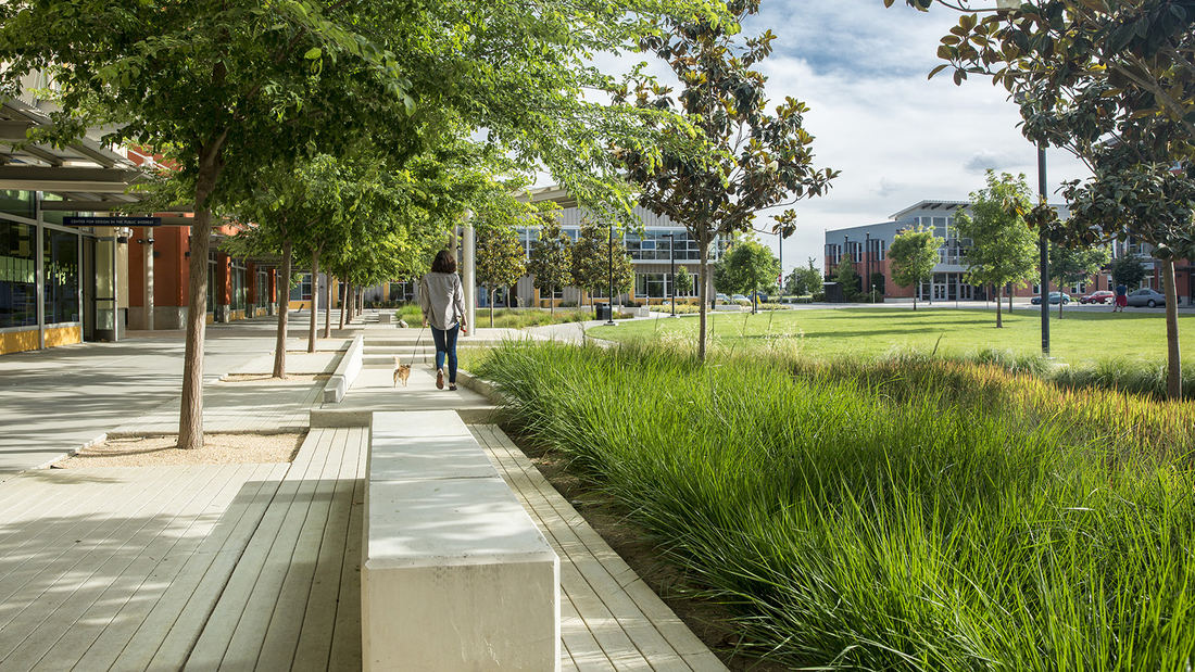 UC Davis West Village