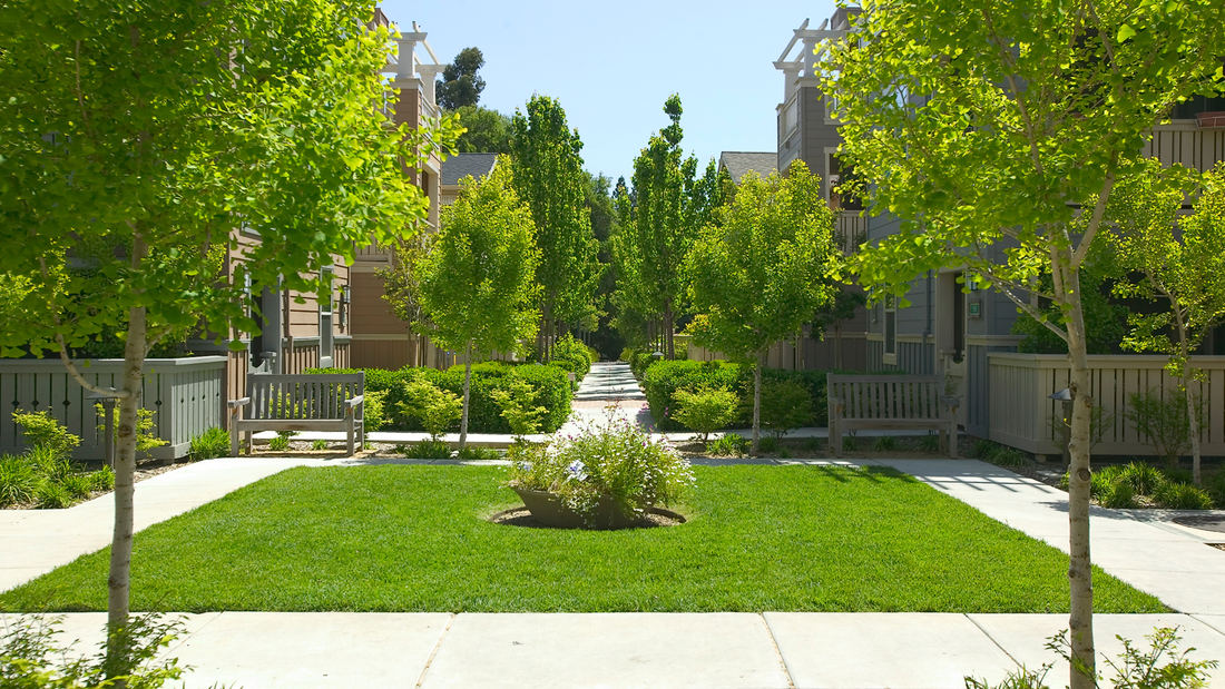 e65022ac_stanfordwestapts.5404_1100x1100.jpg