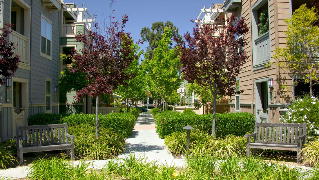 41dfda38_stanfordwestapts.5400_1100x1100.jpg