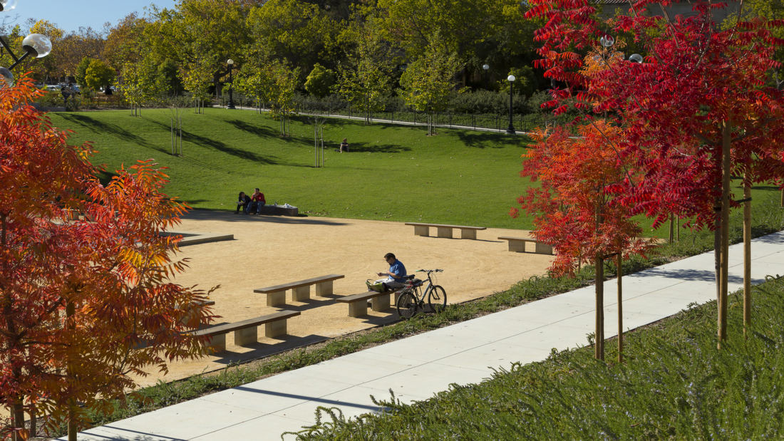 26624d0e_stanford_terman_park-tom_fox-2240_1100x1100.jpg