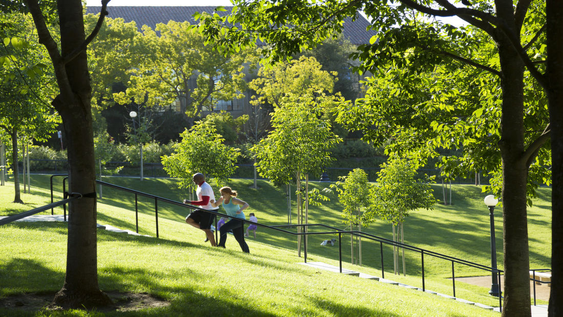 Stanford Terman Park-Tom Fox-3849.jpg