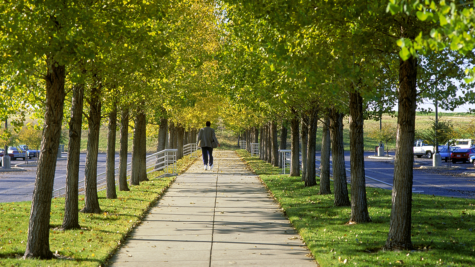 Hewlett Packard Roseville 4222-047-Tom Fox.jpg