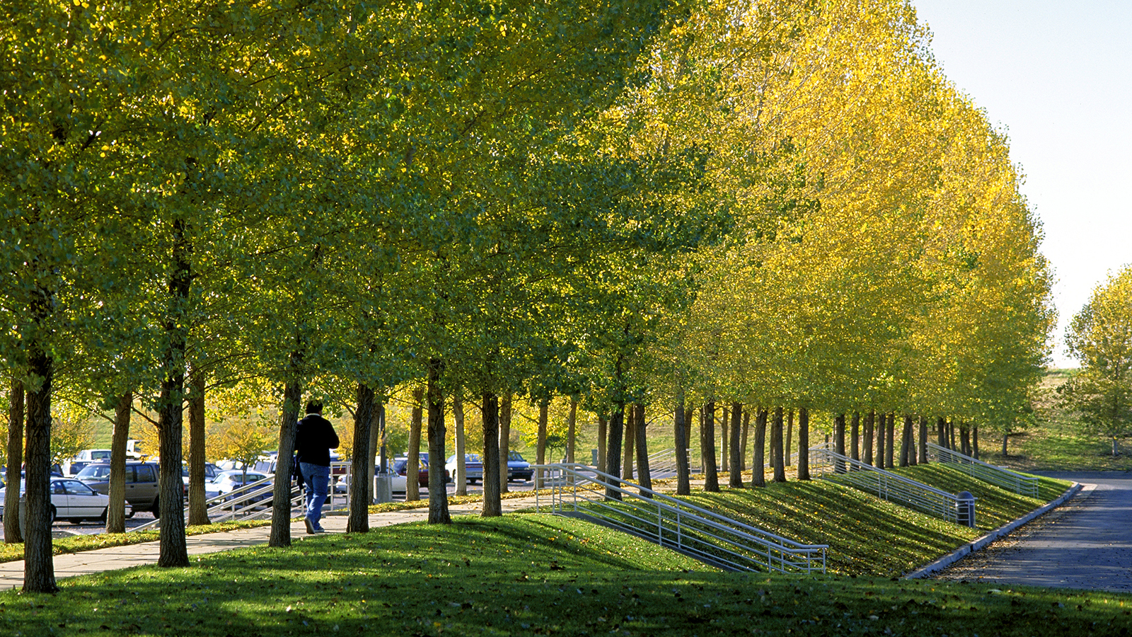 Hewlett Packard Roseville 1028-18-Tom Fox.jpg