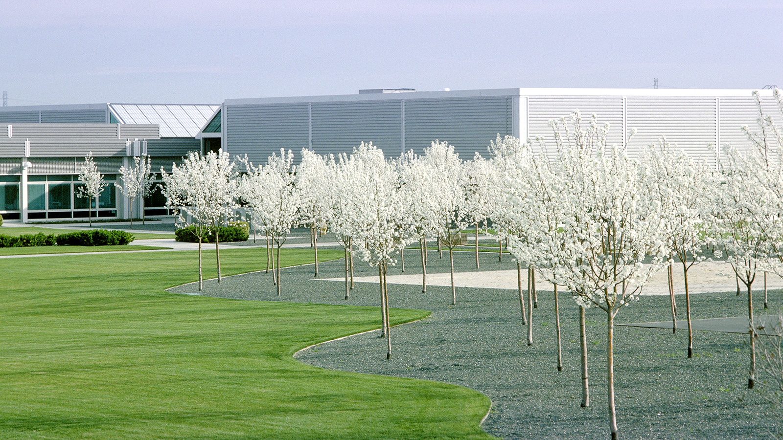 Hewlett Packard Roseville 4973-008-Tom Fox.jpg
