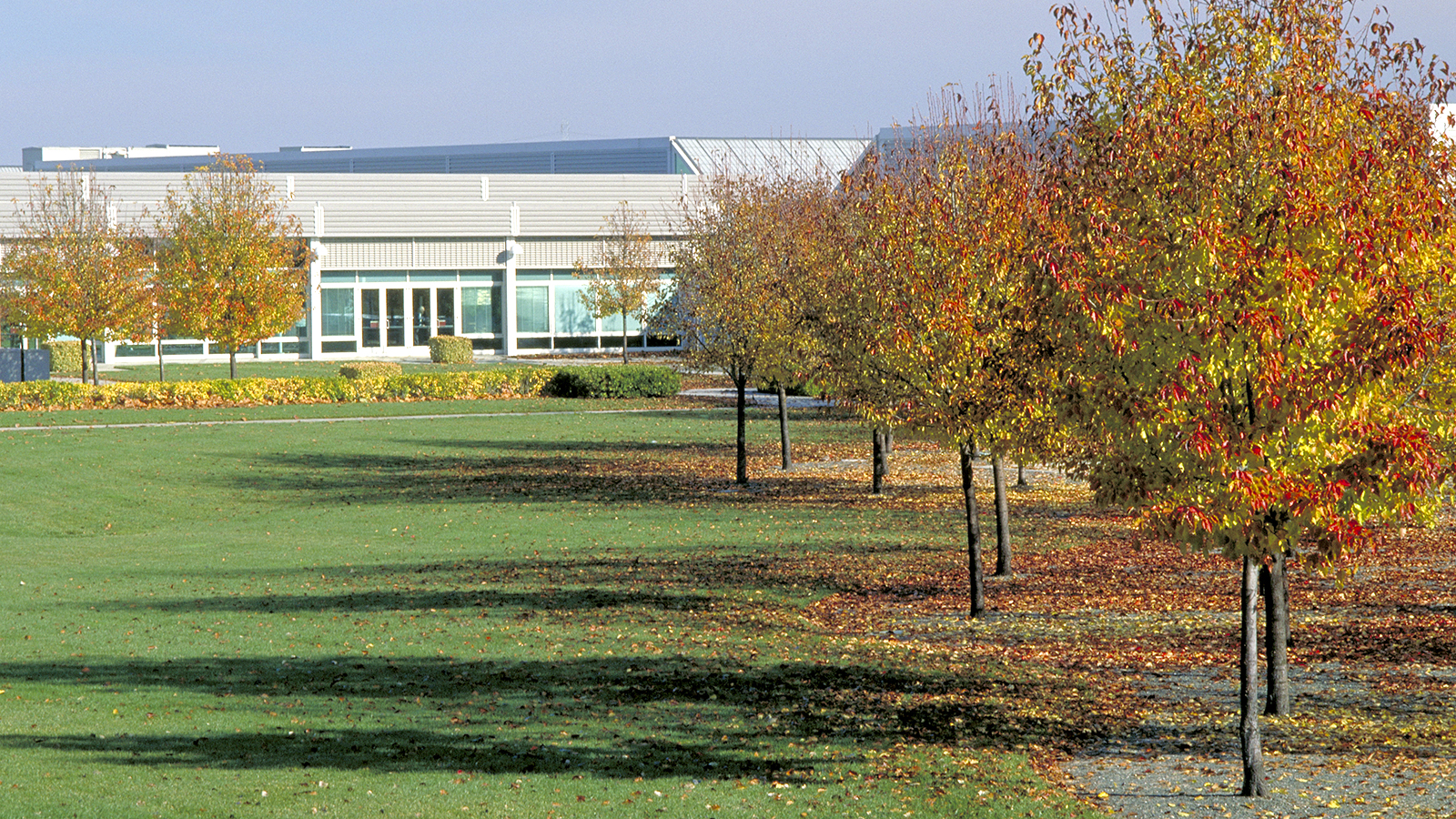 Hewlett Packard Roseville 1028-16-Tom Fox.jpg