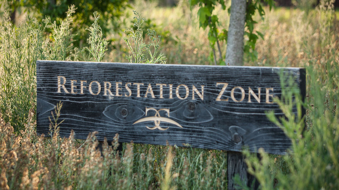 95c6b30e_crosscreekranch-jonnusingleton-2648_1100x1100.jpg