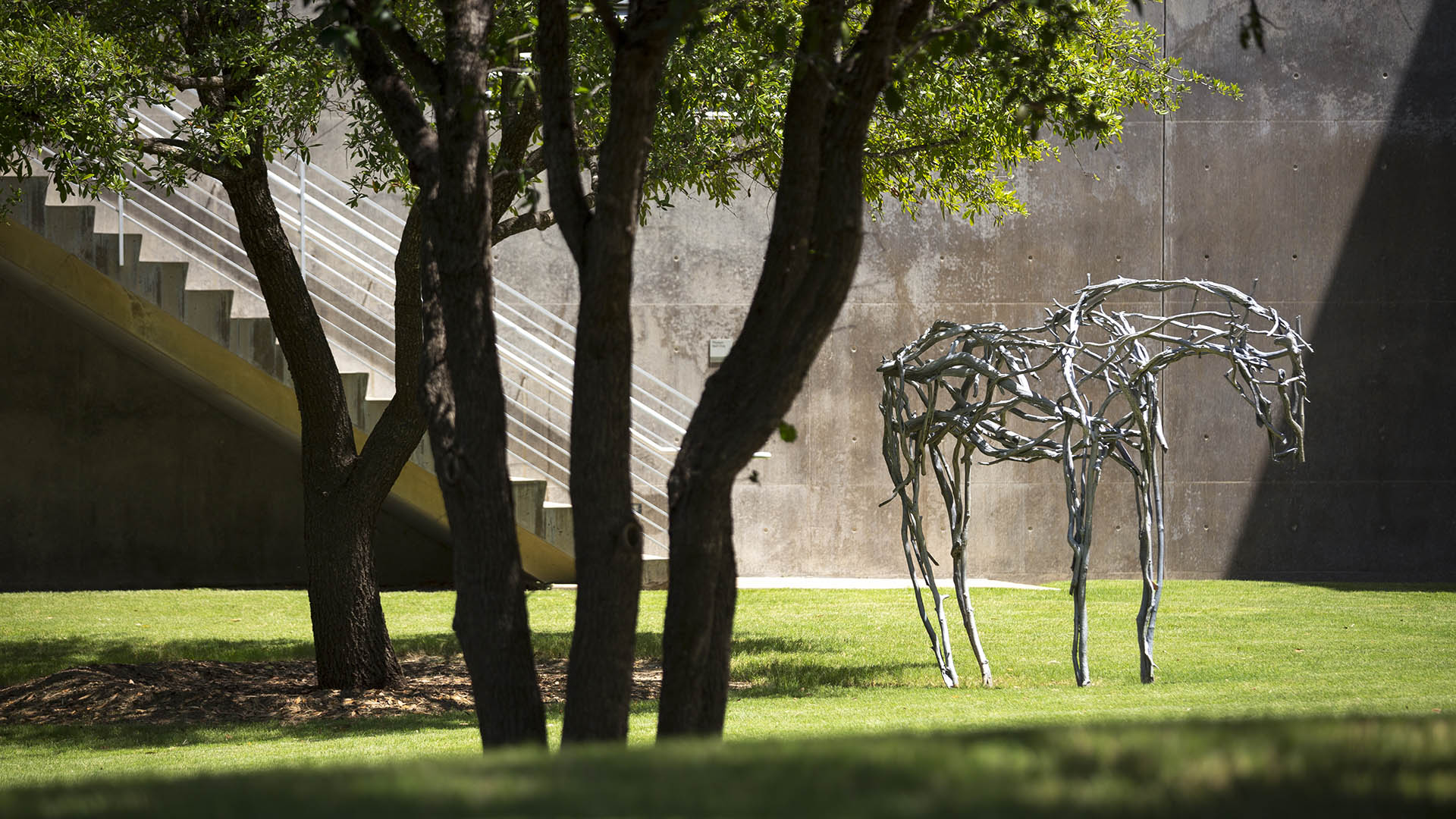 Fort Worth Modern Art Museum - Jonnu Singleton--24.jpg