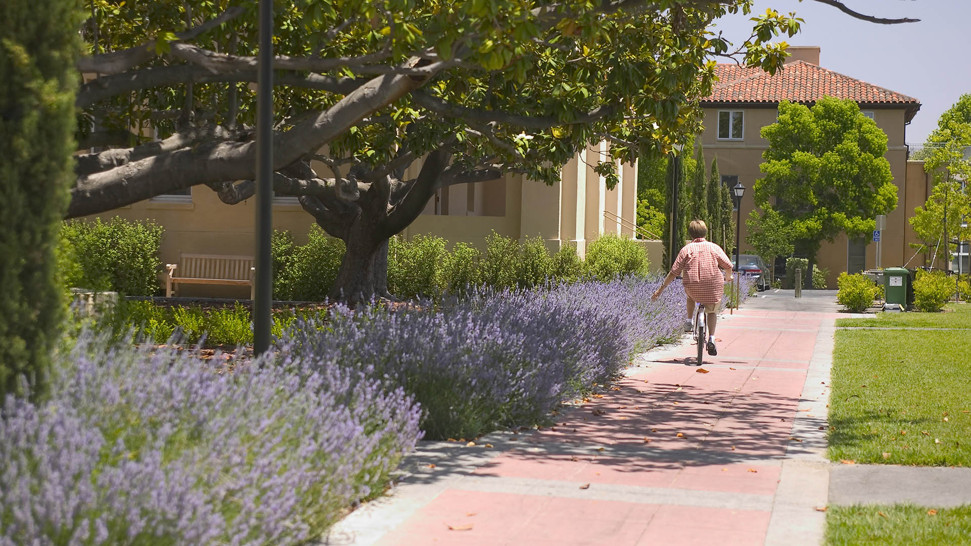 Stanford Branner Hall 1376_epi.jpg