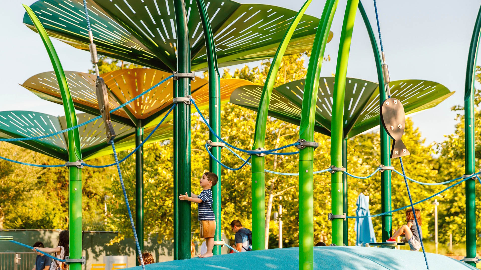 Evelyn's Park 11