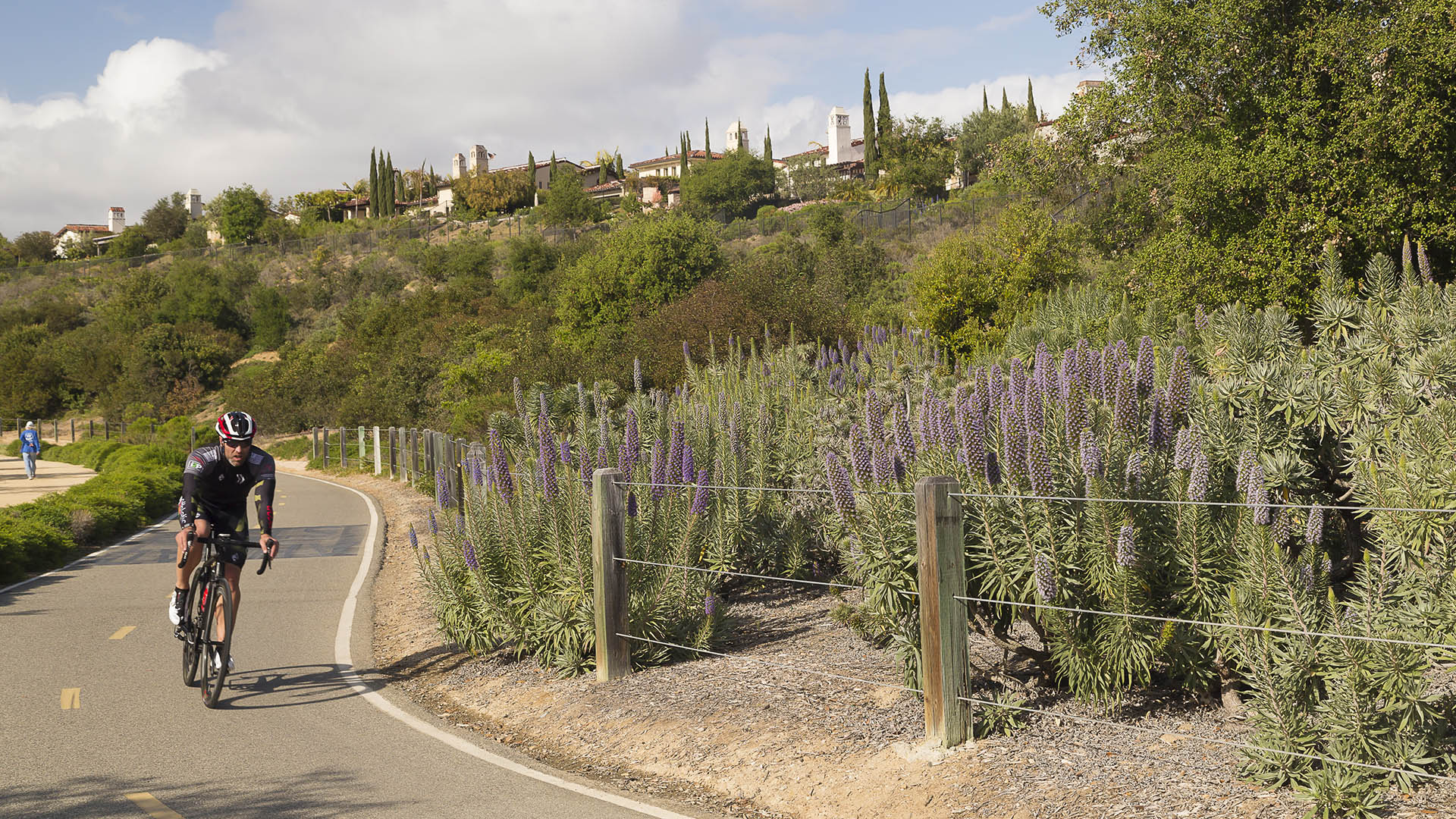 Shady Canyon-8744.jpg