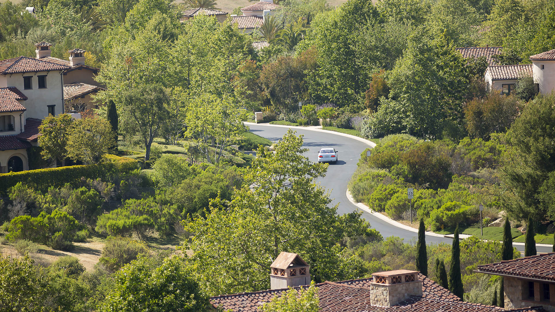 Shady Canyon-9383.jpg