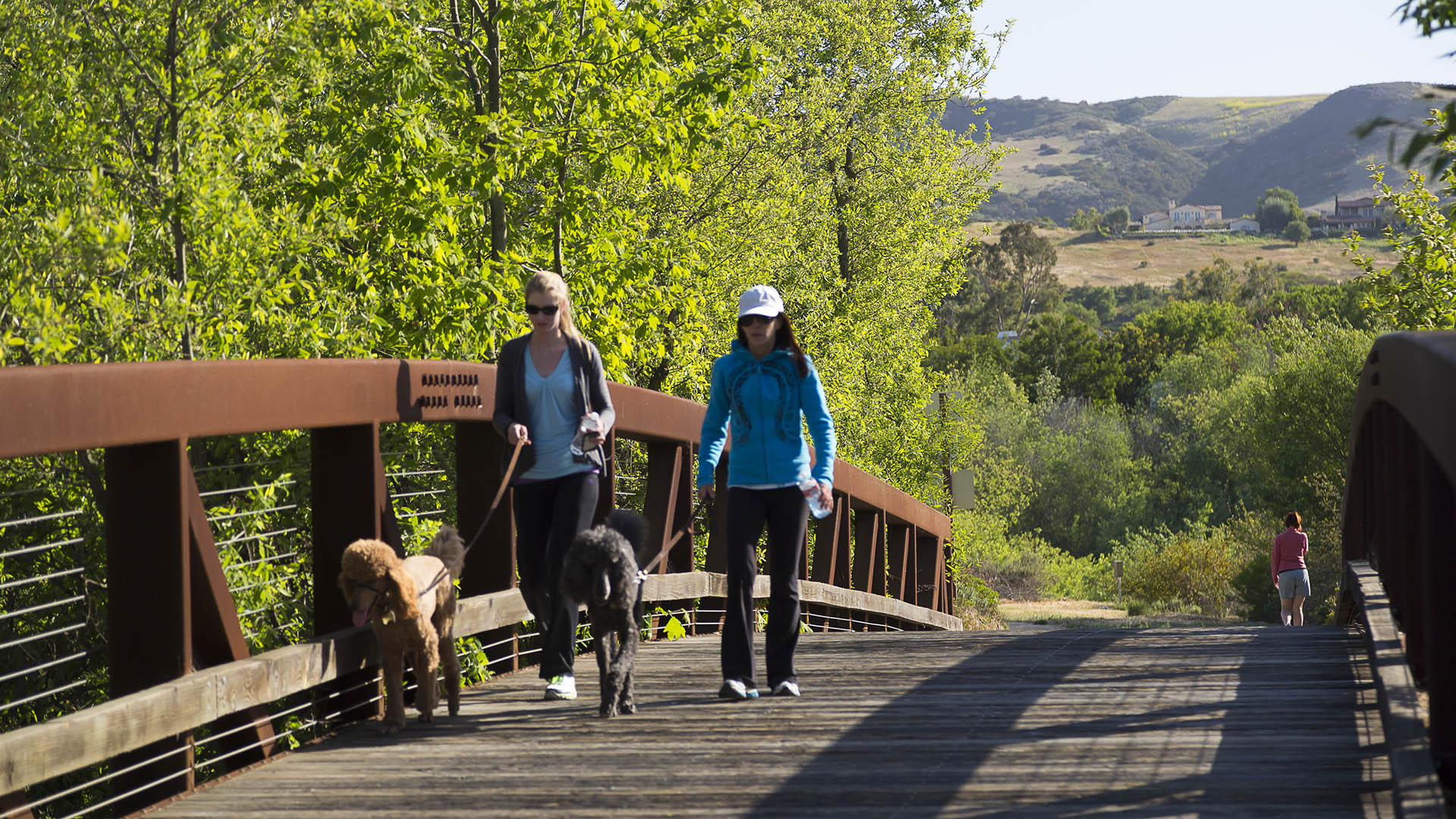 Shady Canyon-9527.jpg