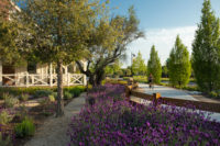 The Cannery-David Lloyd-89.jpg