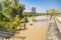 39_Buffalo-Bayou-Park-Harvey-Flood-Maribel-Amador-4828-1100x733