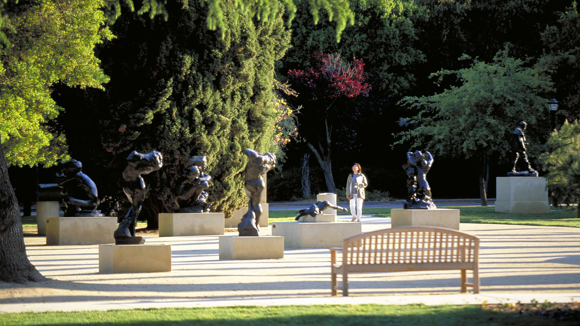 Cantor Arts Center at Stanford University 4549-079-Tom Fox.jpg