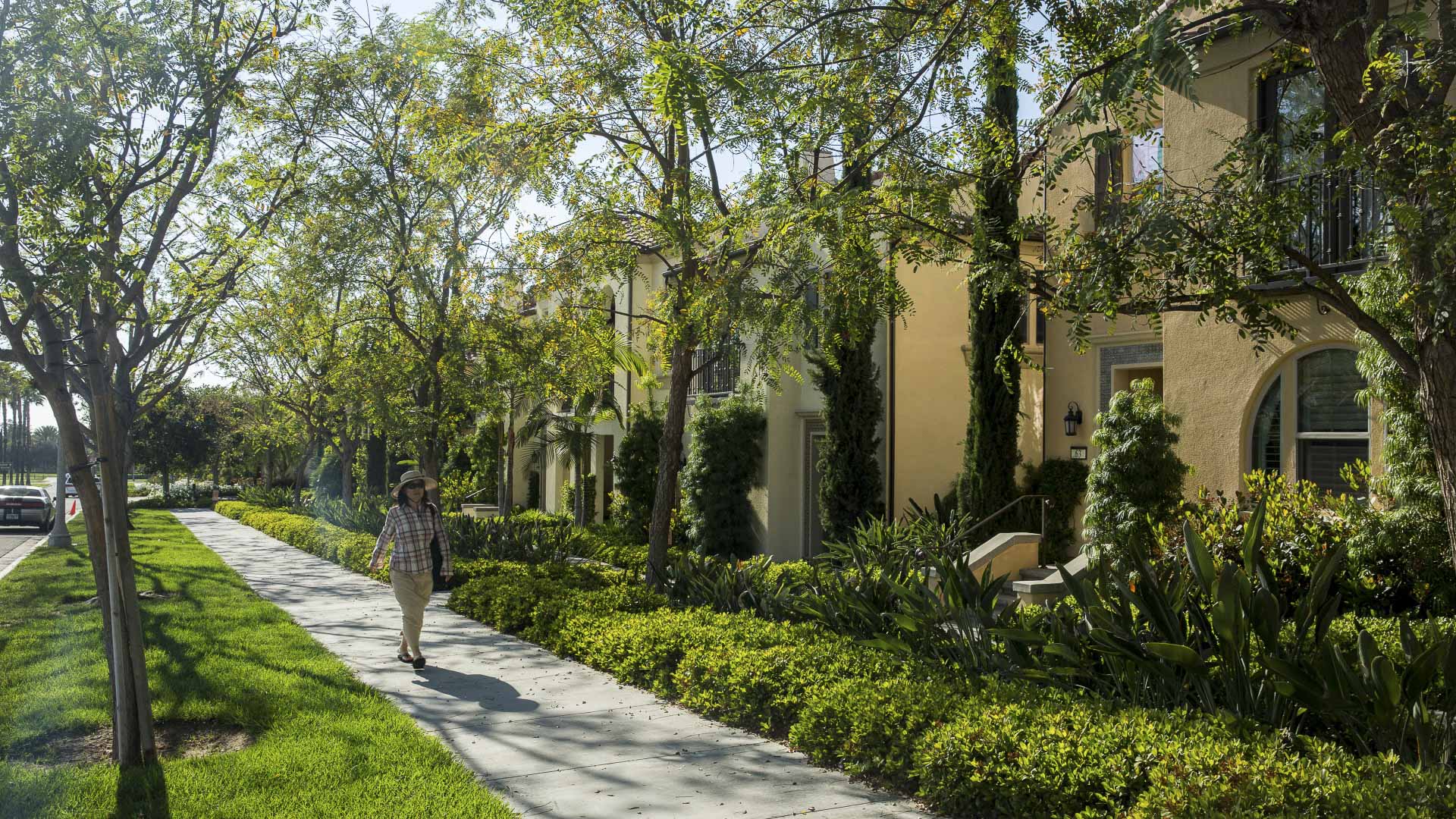 Woodbury - David Lloyd --0811.jpg