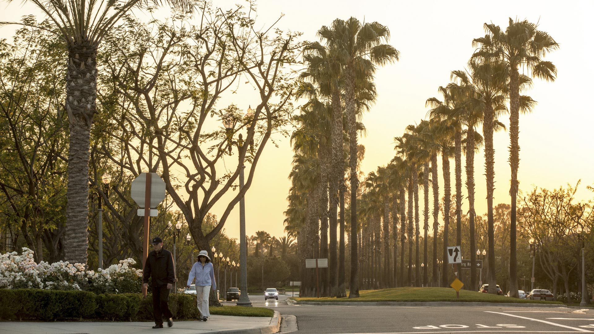 Woodbury - David Lloyd --1217.jpg