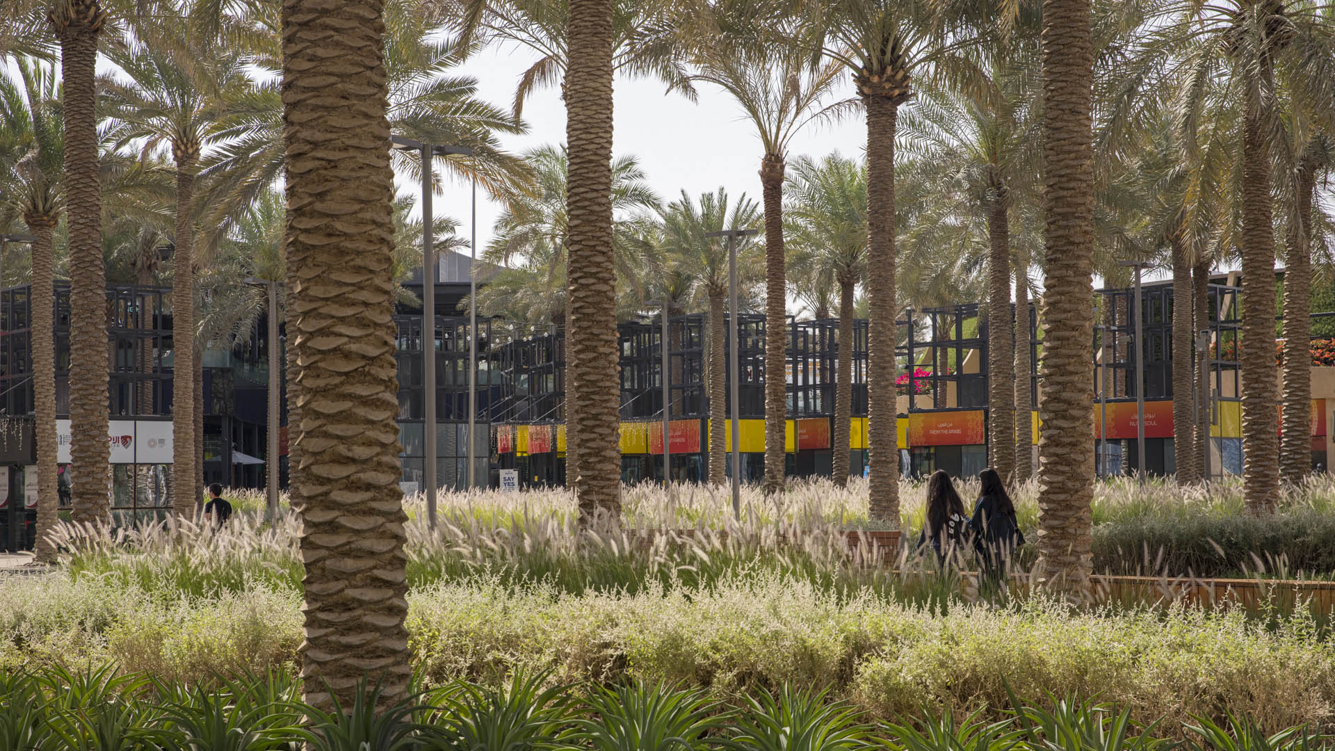 Expo 2020 Dubai-David Lloyd-9650