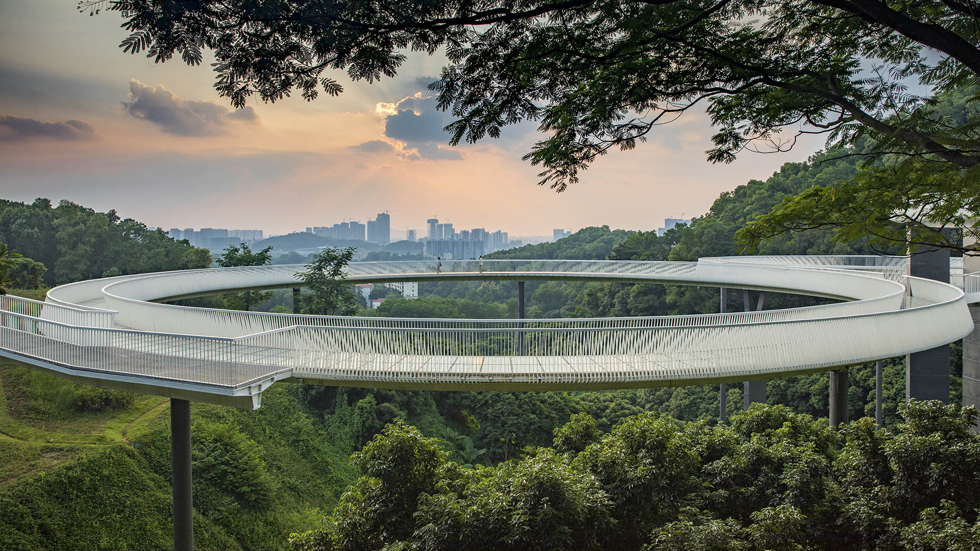 Shenzhen-OCT-Guangming-Trail-David-Lloyd-8807
