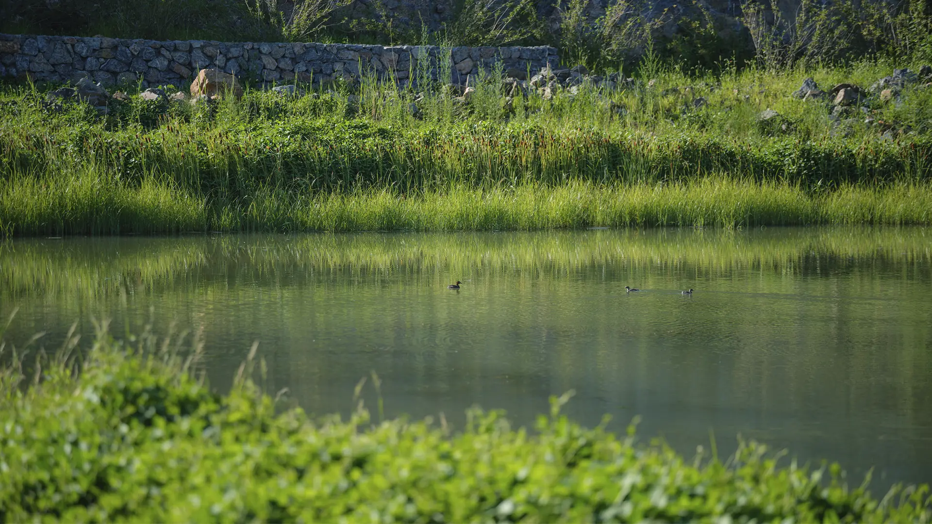 Xingfa Quarry Park Phase II (10)