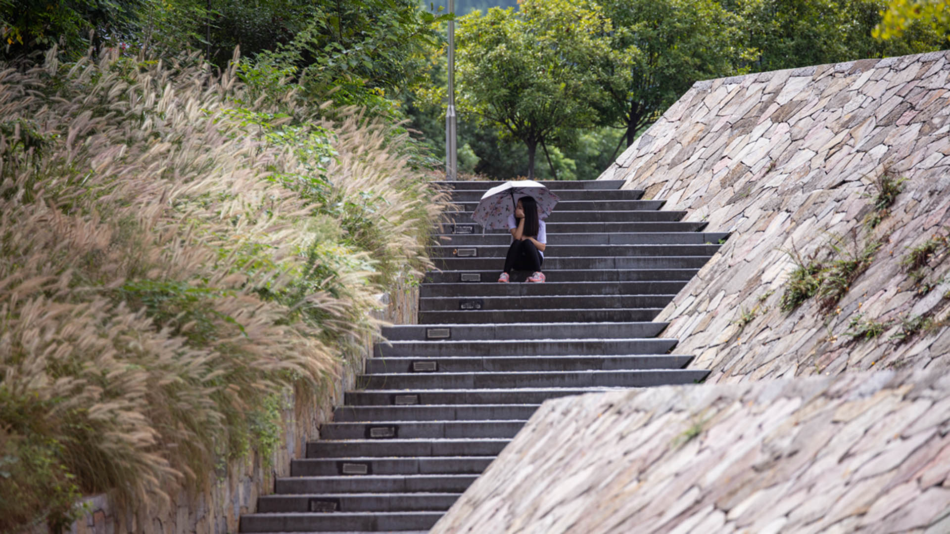 Moji Mountain_SK_0303