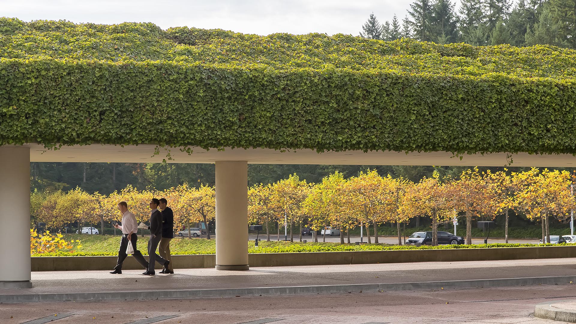 Weyerhaeuser Corporate  Headquarters-Tom Fox-00757.jpg