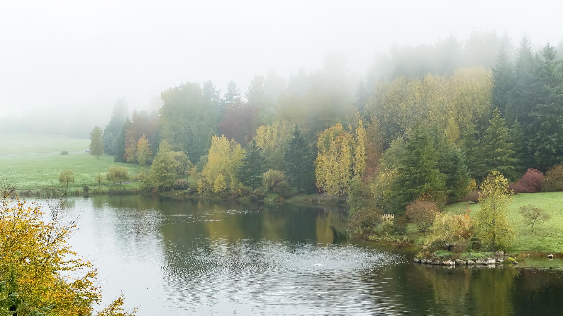 Weyerhaeuser Corporate  Headquarters-Tom Fox-00619.jpg