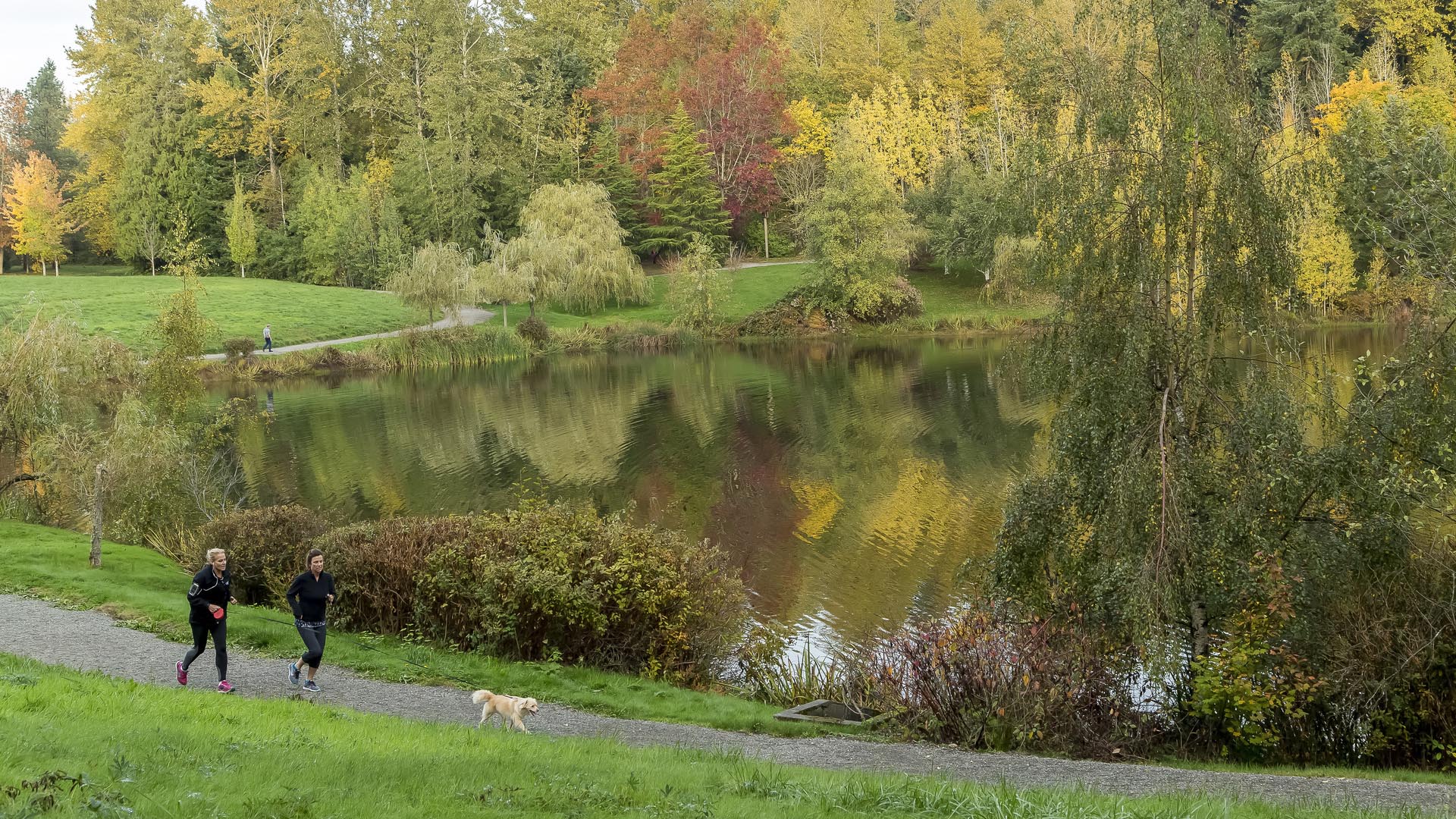 Weyerhaeuser Corporate  Headquarters-Tom Fox-00986.jpg