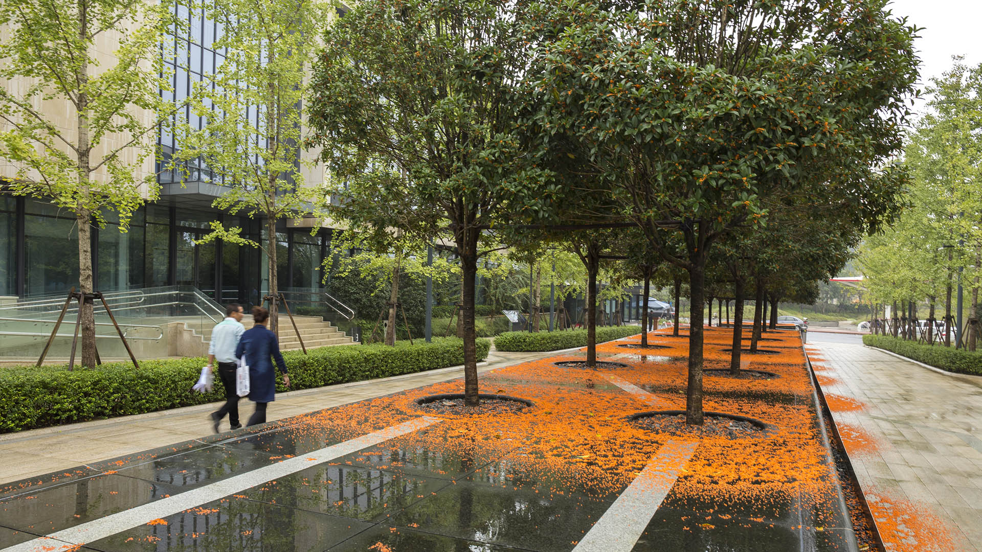 Linan Hightech Park - Jonnu Singleton-9754.jpg